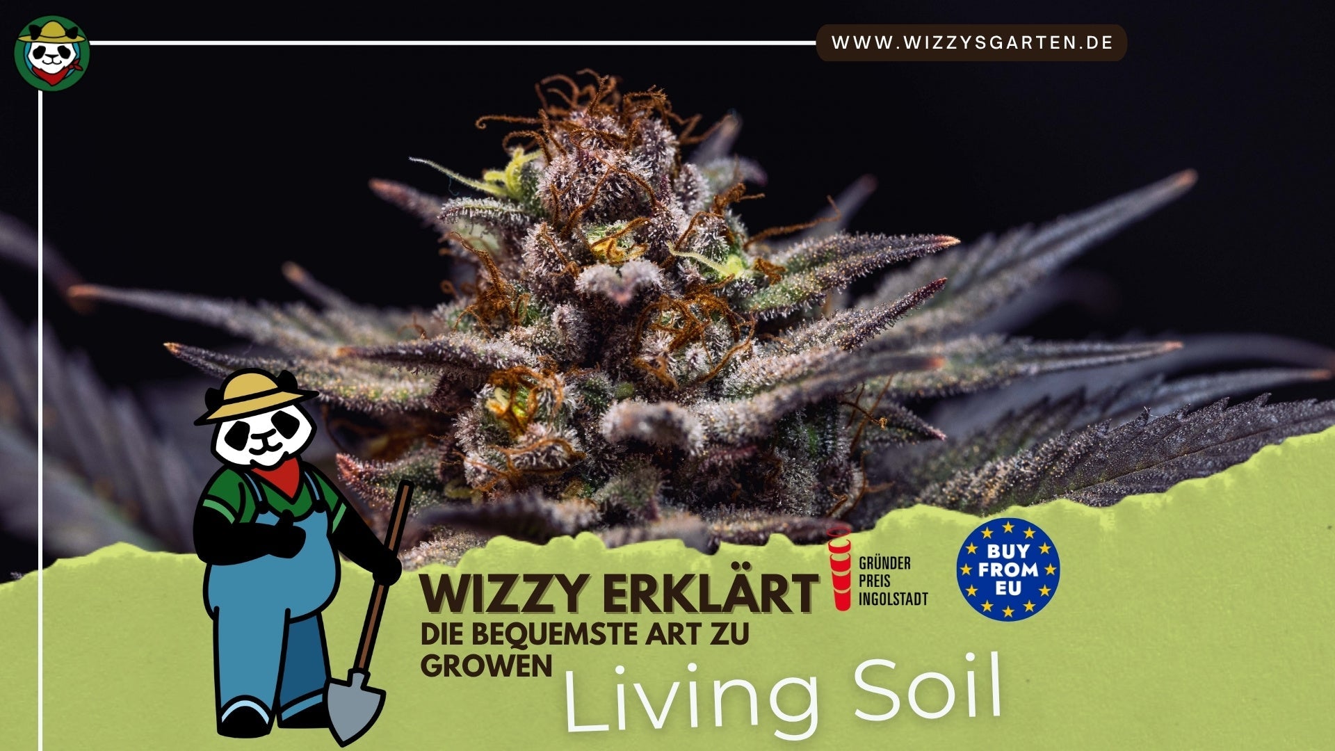 Was ist Living Soil eigentlich?