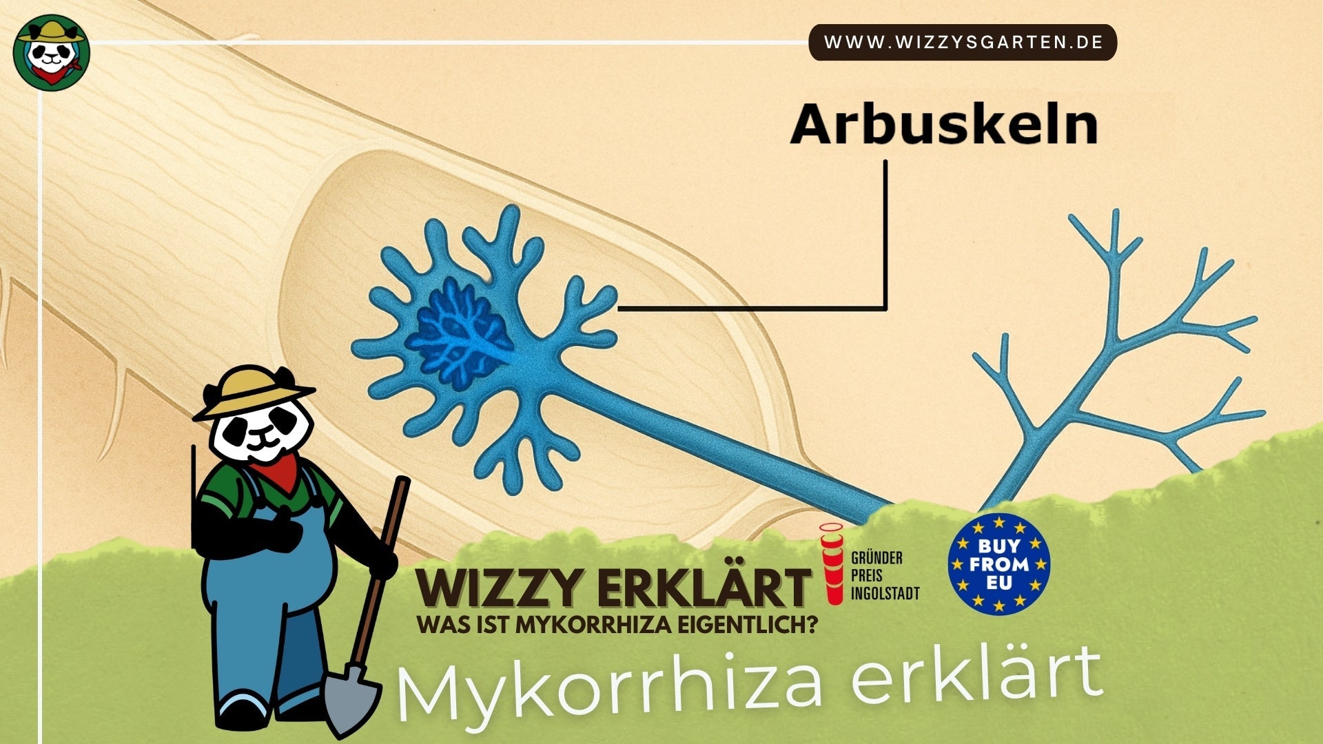 Mykorrhiza & Cannabis: Symbiose für gesundes Wachstum und starke Ernten