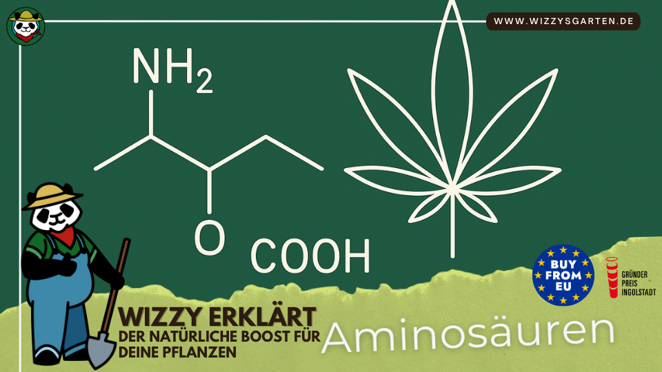 Aminosäuren bei Cannabis: kleine Bausteine, großer Unterschied