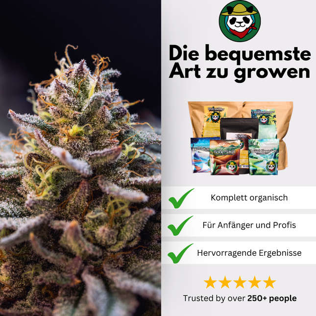 Magic Soil Bundle – Magic Soil zum Selbermischen für bis zu 180 L Erde