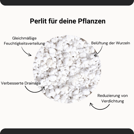Perlite Classic