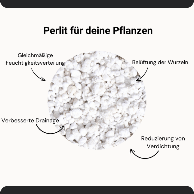 Perlite Classic